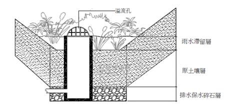 樹穴設計|[築綠生態有限公司] 樹穴結構簡報介紹